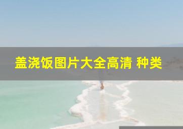 盖浇饭图片大全高清 种类